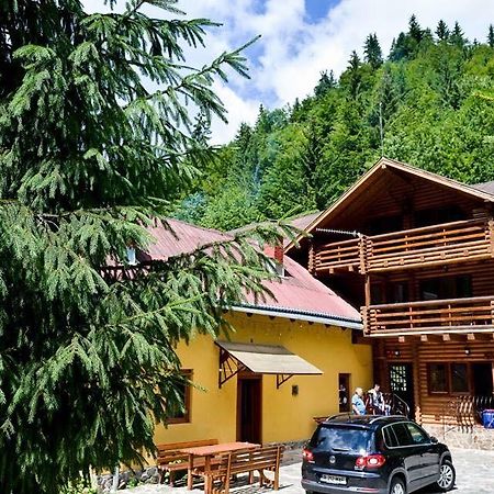 Cabana Bradul Rodna 외부 사진