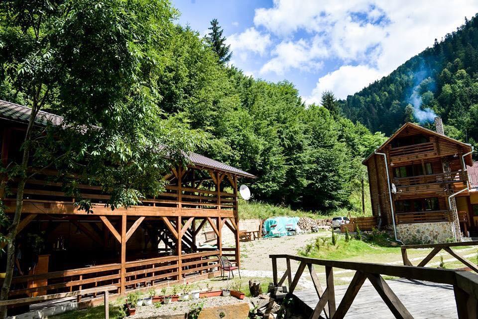 Cabana Bradul Rodna 외부 사진
